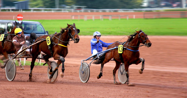©JoëlBoulay UNIVERS DES COURSES HIPPIQUES, Hippodrome de Nantes