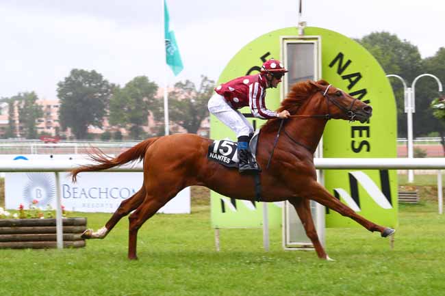 QATAR BOLT et O. PESLIER QATAR BOLT et O. PESLIER s'imposent dans le GRAND PRIX SYNERGIE 2019 à NANTES
