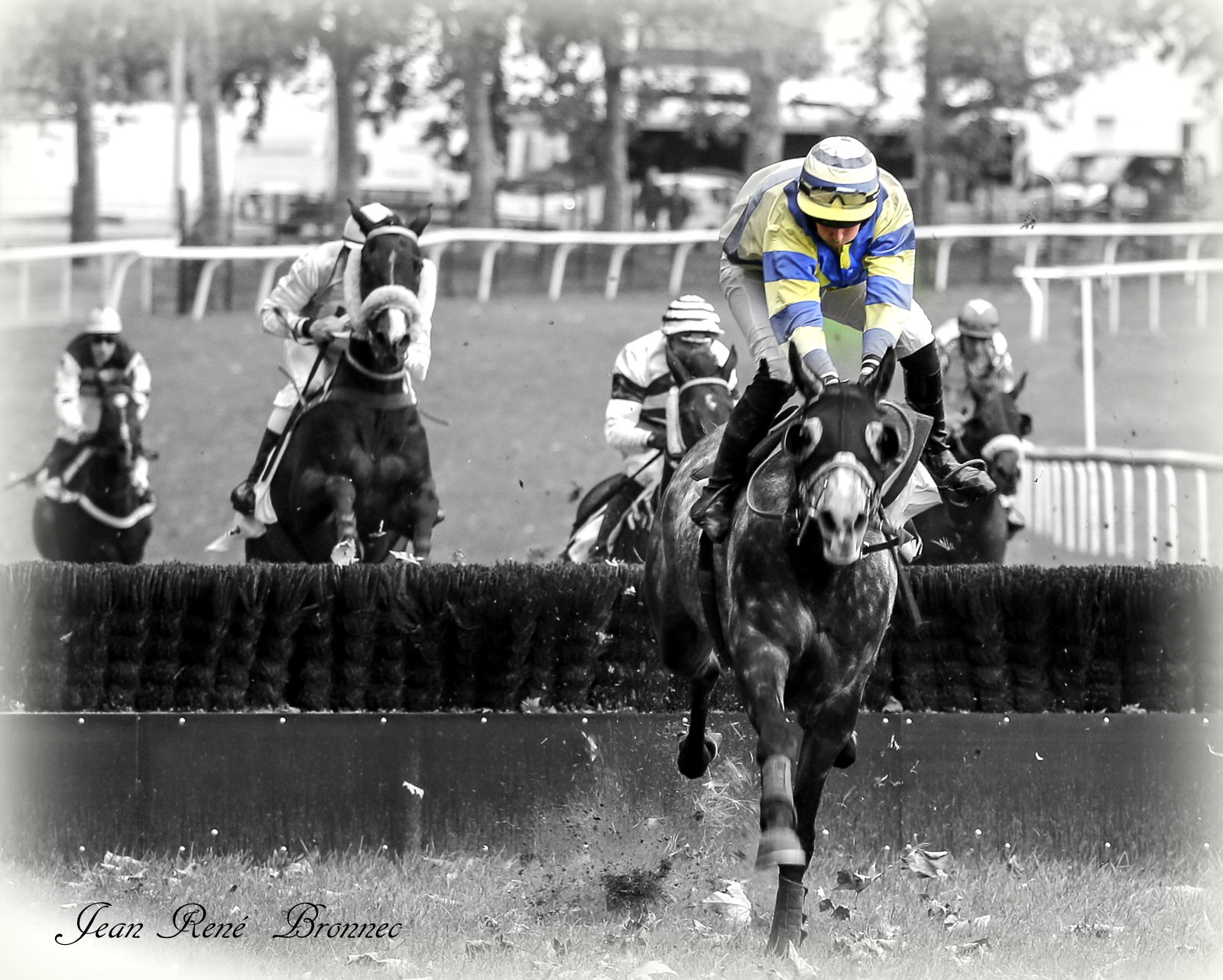 GRANDE COURSE DE HAIE DE PRINTEMPS Hippodrome de Nantes