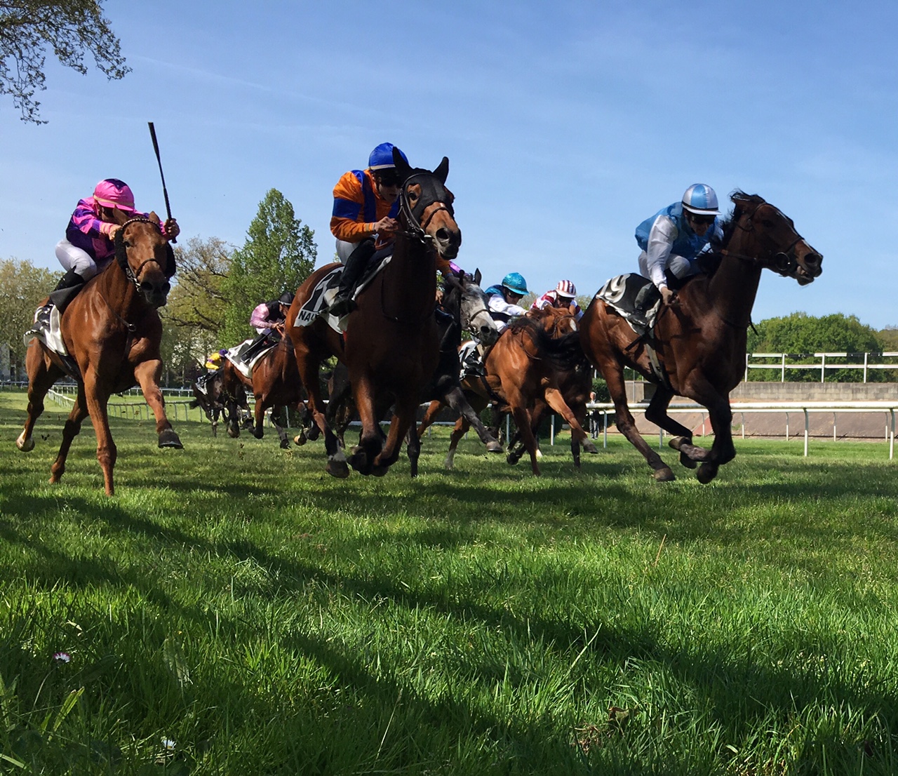 PRIX ANJOU BRETAGNE HARAS DU SAZ PRIX ANJOU BRETAGNE HARAS DU SAZ
