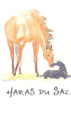 Haras du Saz