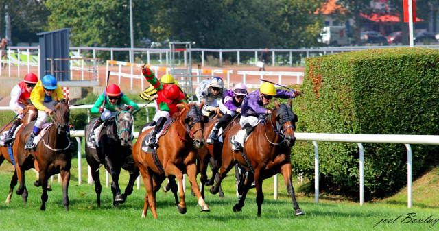 Hippodrome de Nantes - Course de galop