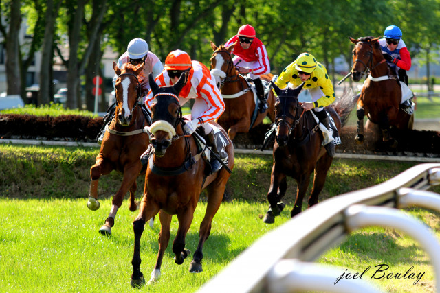 Hippodrome Nantes - Course d'obstacle