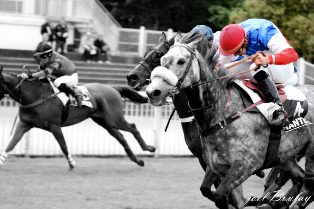 Hippodrome de Nantes - Ligne d'arrivée 