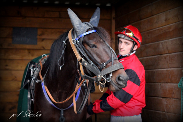 Hippodrome de Nantes - Trotteur et Driver 