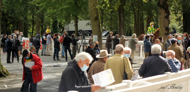 Hippodrome de Nantes - Ambiance public