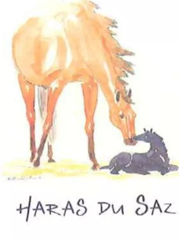 Haras du Saz